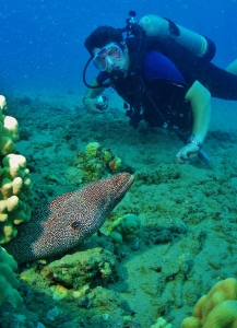 Diver with a White Mouth Moray Eel and Tiny Bubbles Scuba