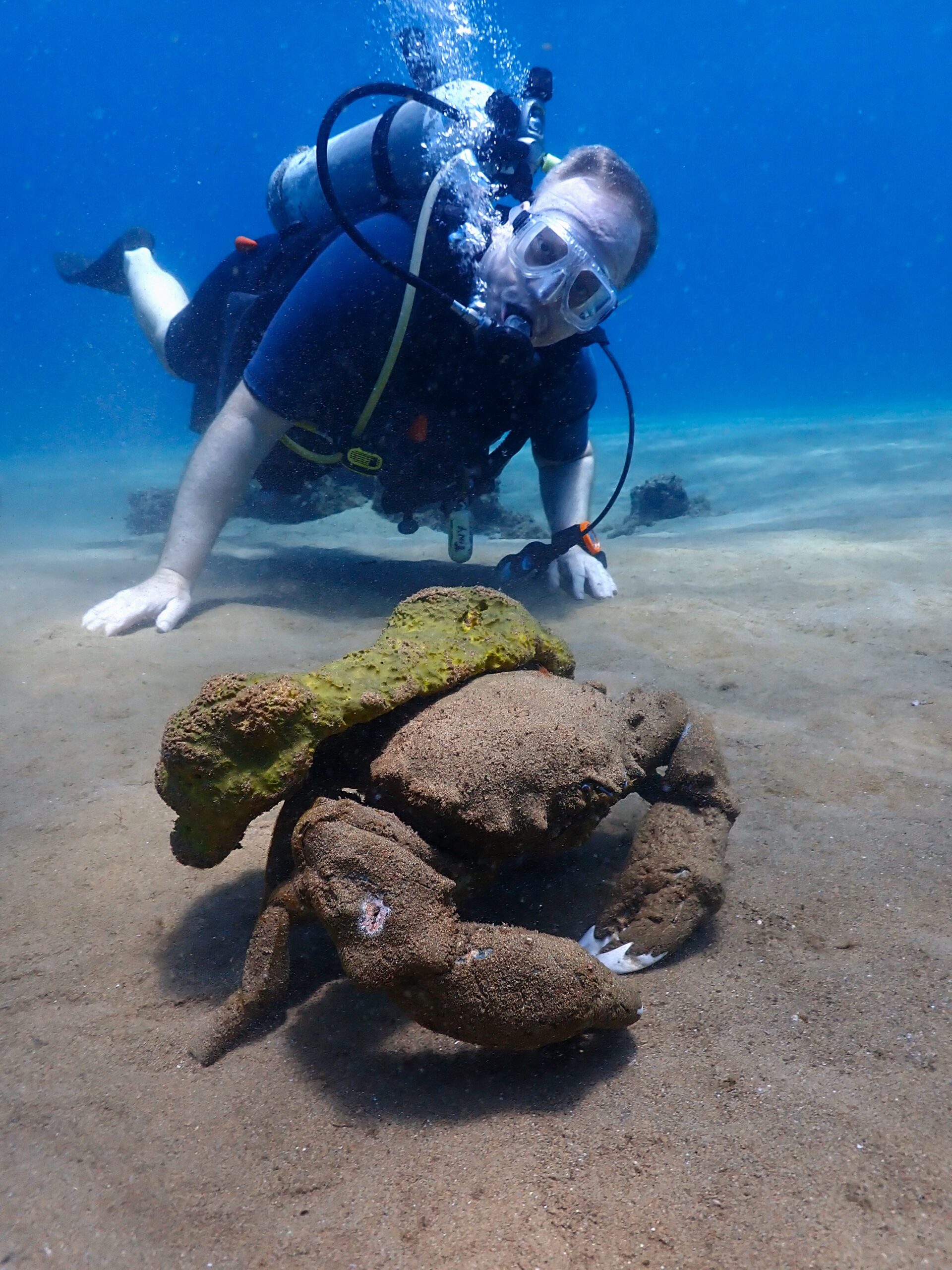 Scooter Diver with Sponge Crab